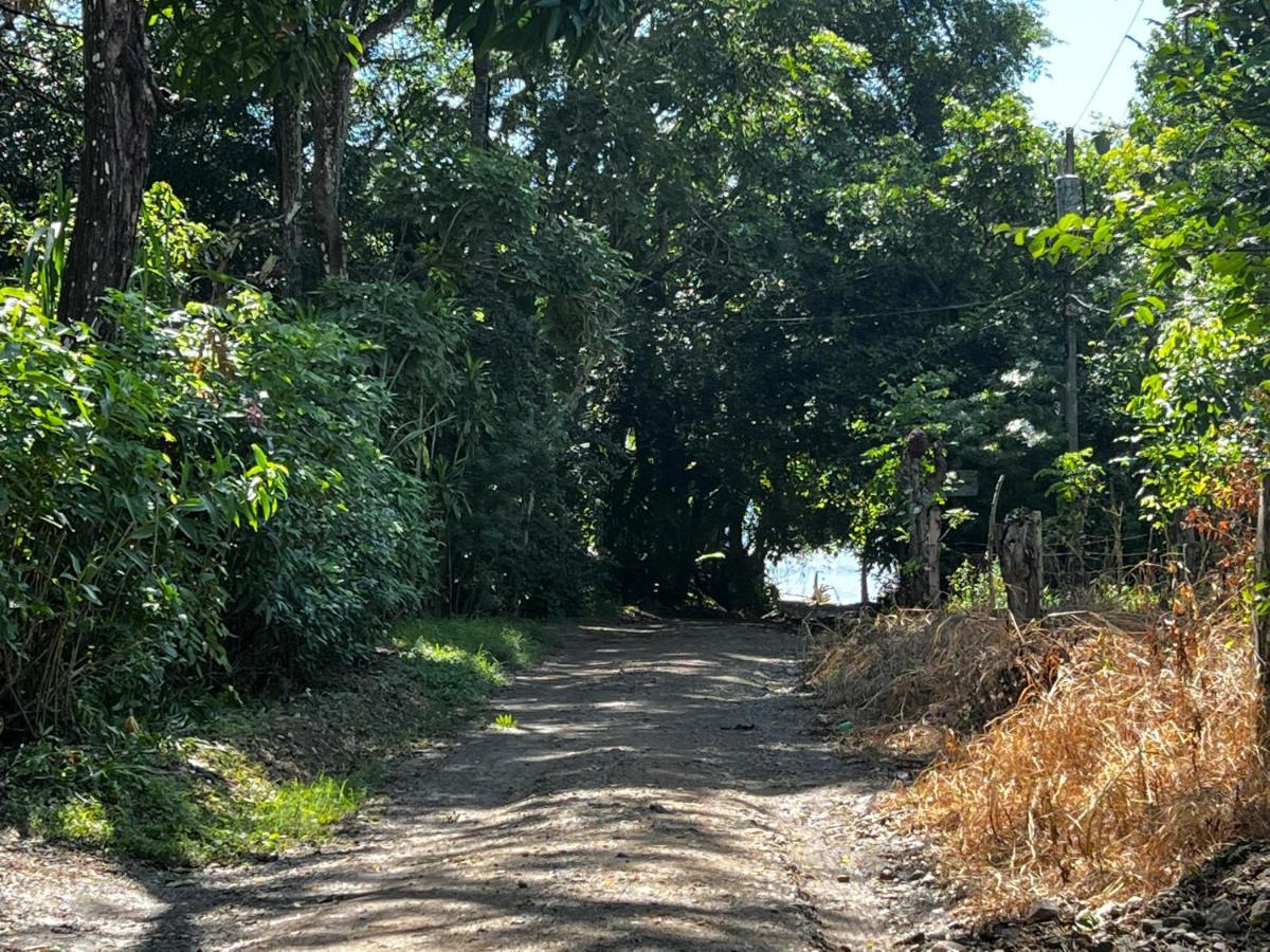 Las Plumas De Cabuya Cabuya  Exterior foto